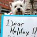 Dear Halifax (@dear_halifax) Twitter profile photo