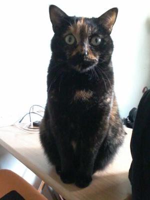 BagDeus's profile picture. 