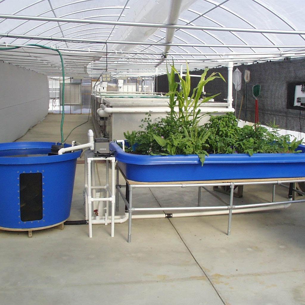 This is the solution for growing your natural vegetables in your backyard or garden: Visit: http://t.co/uL2rZenRp4