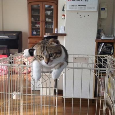 札幌在住で視覚に障害を持っています。色々な障害を持っている者が集まりチームコラボというチームを作り活動をしています。同じような障害を持っている方が今困っているようなことなどを解決できるようにしていきたいと思っています。
