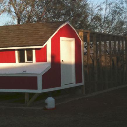 Building Your Own Coop Has Never Been Easier. Pick a Plan. Get the Material. Build Your Coop. http://t.co/75QdOw4Y2W