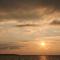 TheRealOBX (@therealobx) 's Twitter Profile