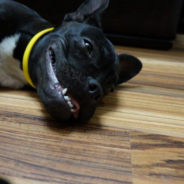 no_freename's profile picture. 