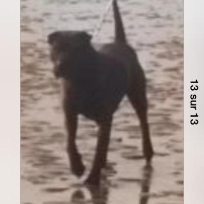 FLietar's profile picture. 