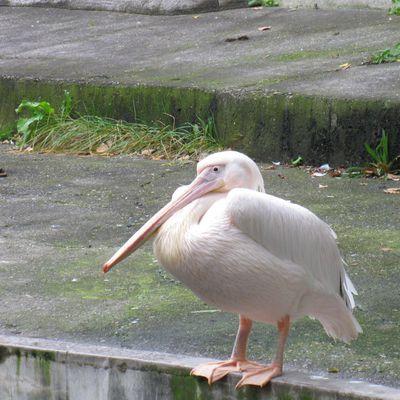 成人済み/雑食で自由な妄想捌け口