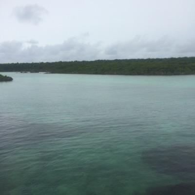 RickAussie's profile picture. 