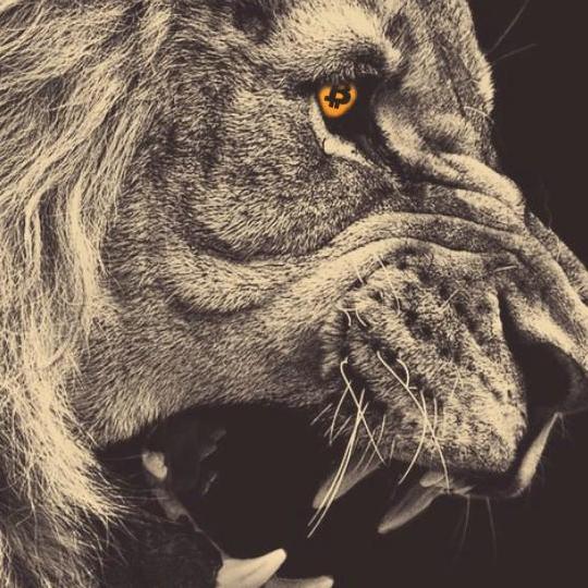 Bitcoin Vet. Bitcoin Trader. #HODL-- Treacherous and merciless sphinx.