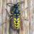 nature2canvas's profile image