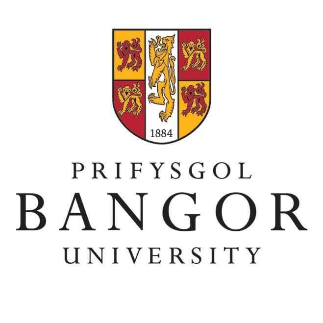 BangorUniSL Profile Picture