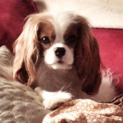 Jackie32685161's profile picture. Married with three amazing children. I live by the Greatest Commandment: love God with all your heart, soul, and mind; makes it easy to love your neighbor! 🙏🏻