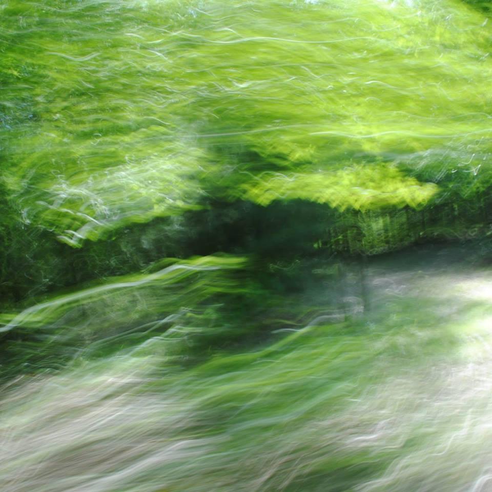 andrewshawks's profile picture. 