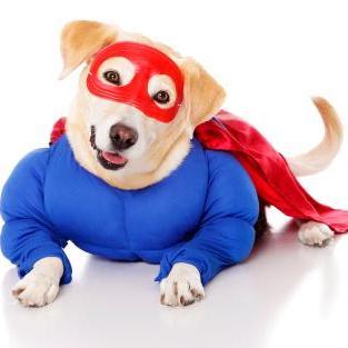 MrsBeaumont1R's profile picture. 