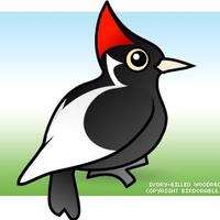 Tang Hall Woodpeckers (@th_year2) 's Twitter Profile Photo Tang Hall Woodpeckers (@th_year2) 's Twitter Profile Photo