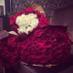 نوف (@radmhrasmh) Twitter profile photo نوف (@radmhrasmh) Twitter profile photo
