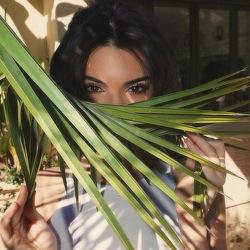 vanessa