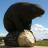 Beaverlodge's profile image