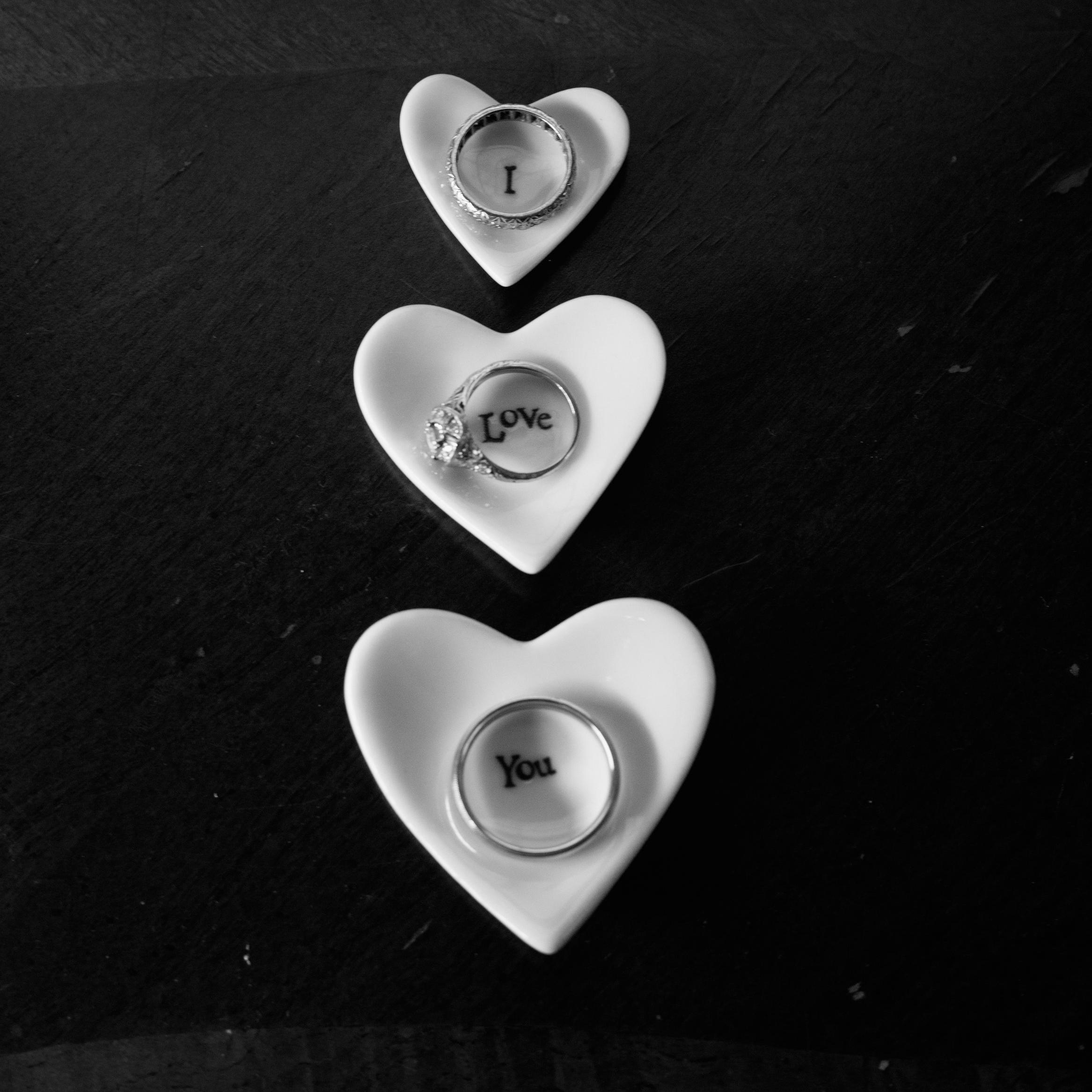 betrothedboston's profile picture. Boston, Berkshires & Beyond New England's Wedding Planning Resource