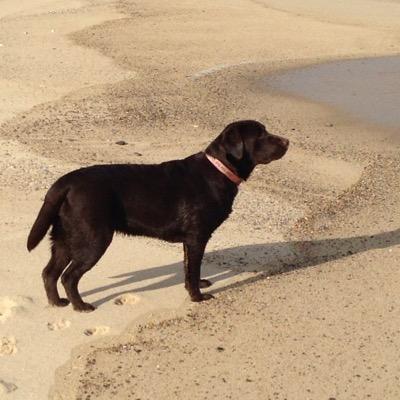 RJWaligory's profile picture. 