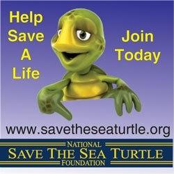 Save the Sea Turtle