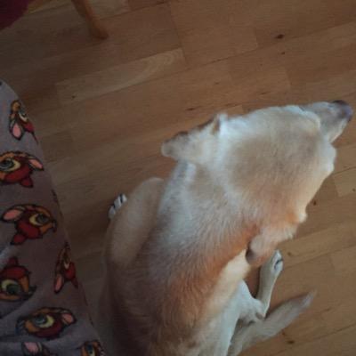 NOTOKAYNO1's profile picture. I'm a nightmare dressed like a daydream ~