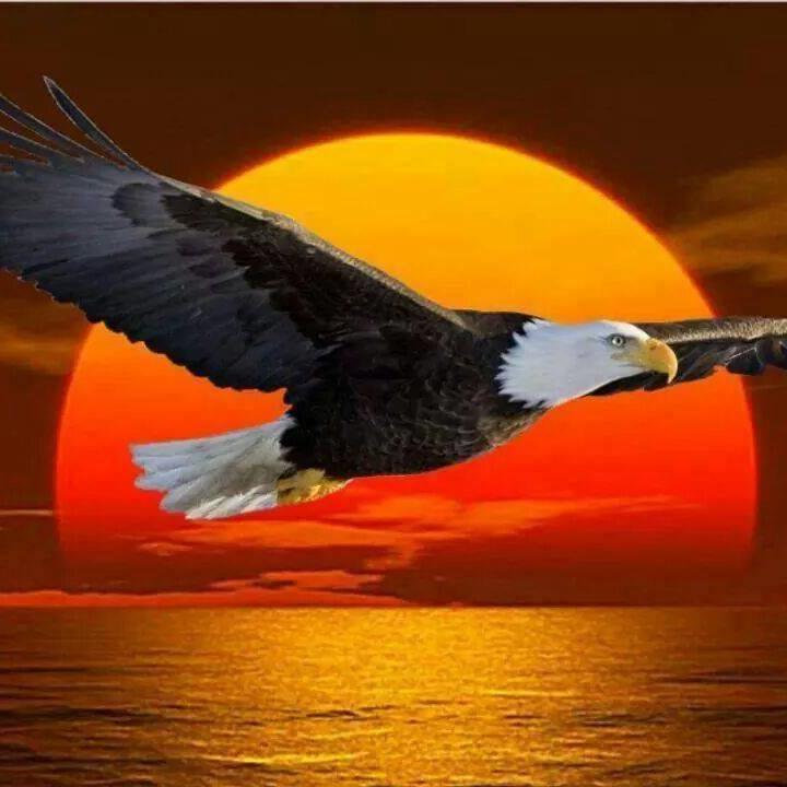 adalana1980's profile picture. 