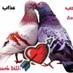 احب فيك الدلع  (@m777835312) Twitter profile photo