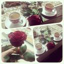 zeynep ural - @zeyneppural - Twitter