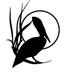 CoastalReview.org (@coastal_review) Twitter profile photo