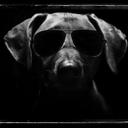 Scott Bonham - @bonham_scott - Twitter