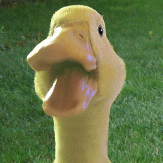 _Golden_Rule_ Profile Picture