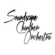 Soundscape Chamber Orchestra - Collaborative Ensemble, conducted by @dpconductor