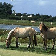 Laurent_80132's profile picture. Picardy - Baie de Somme - Scotland(Scottish Borders) - Lubéron - Languages (Français- English-Deutsch) - Philosophy - Gastronomy  - Hôtellerie - Enseignement