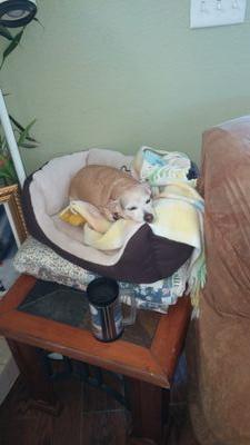 11fd8b00da8d4be's profile picture. shawnh391shsh@gmail.com