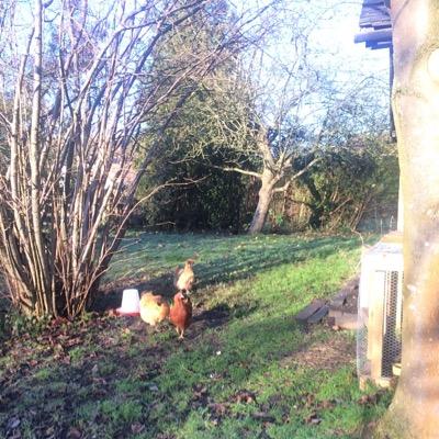Foodie network Shipston on Stour