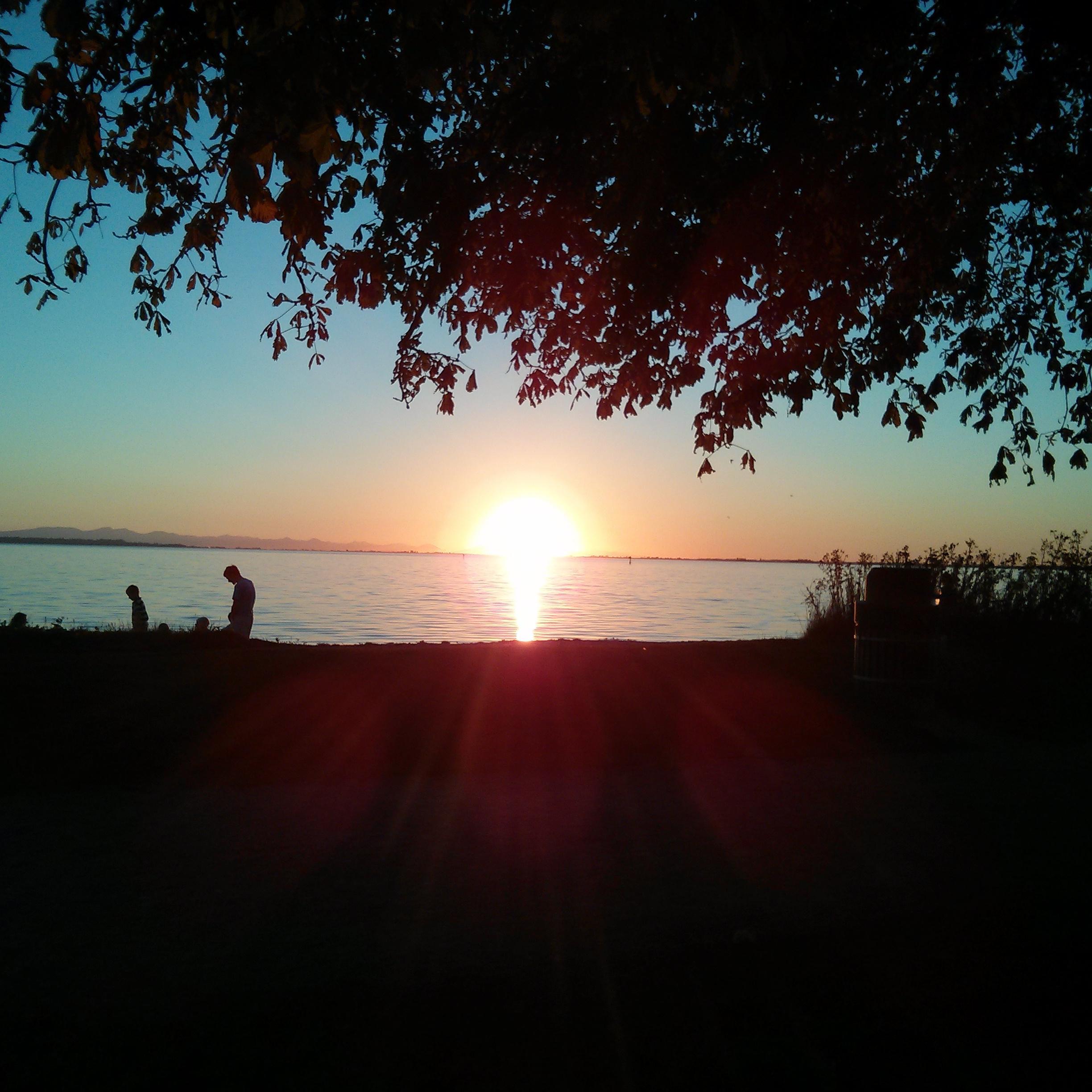 edigawros's profile picture. 