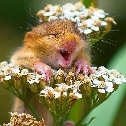 cathyhope95's profile picture. 