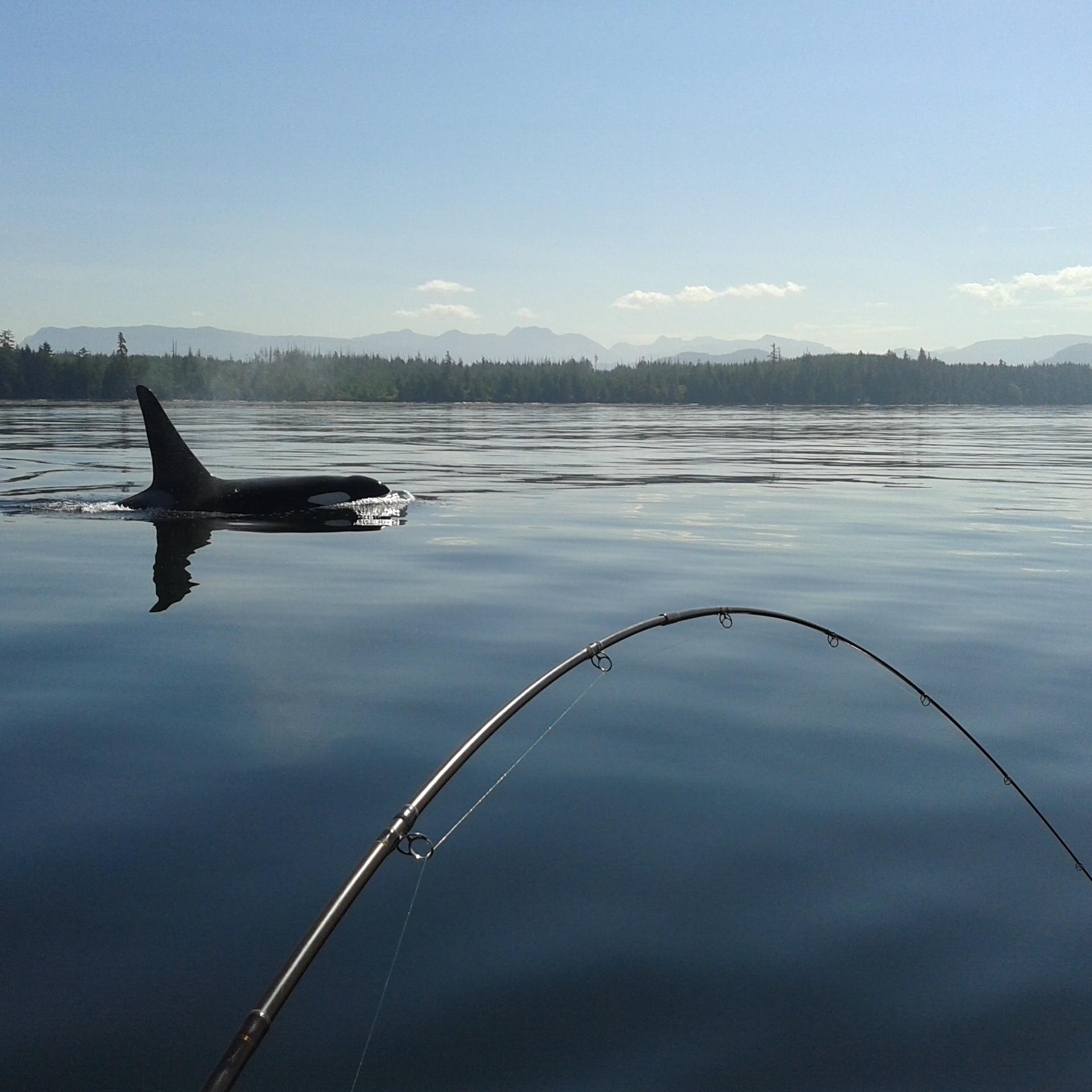 VanWizzy's profile picture. 