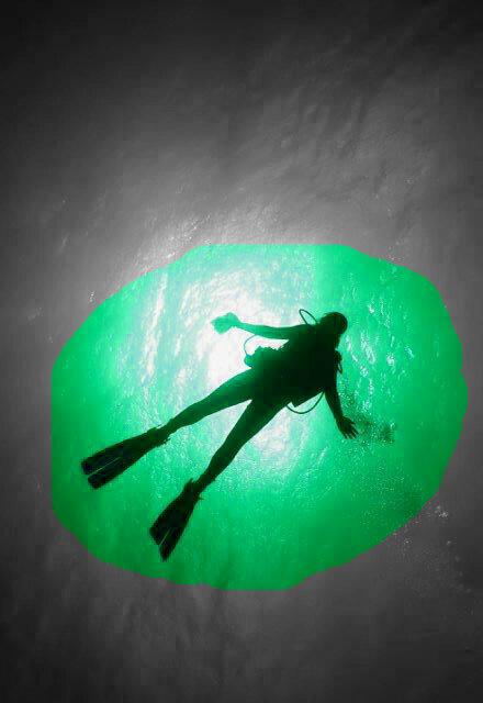 heykaton's profile picture. 