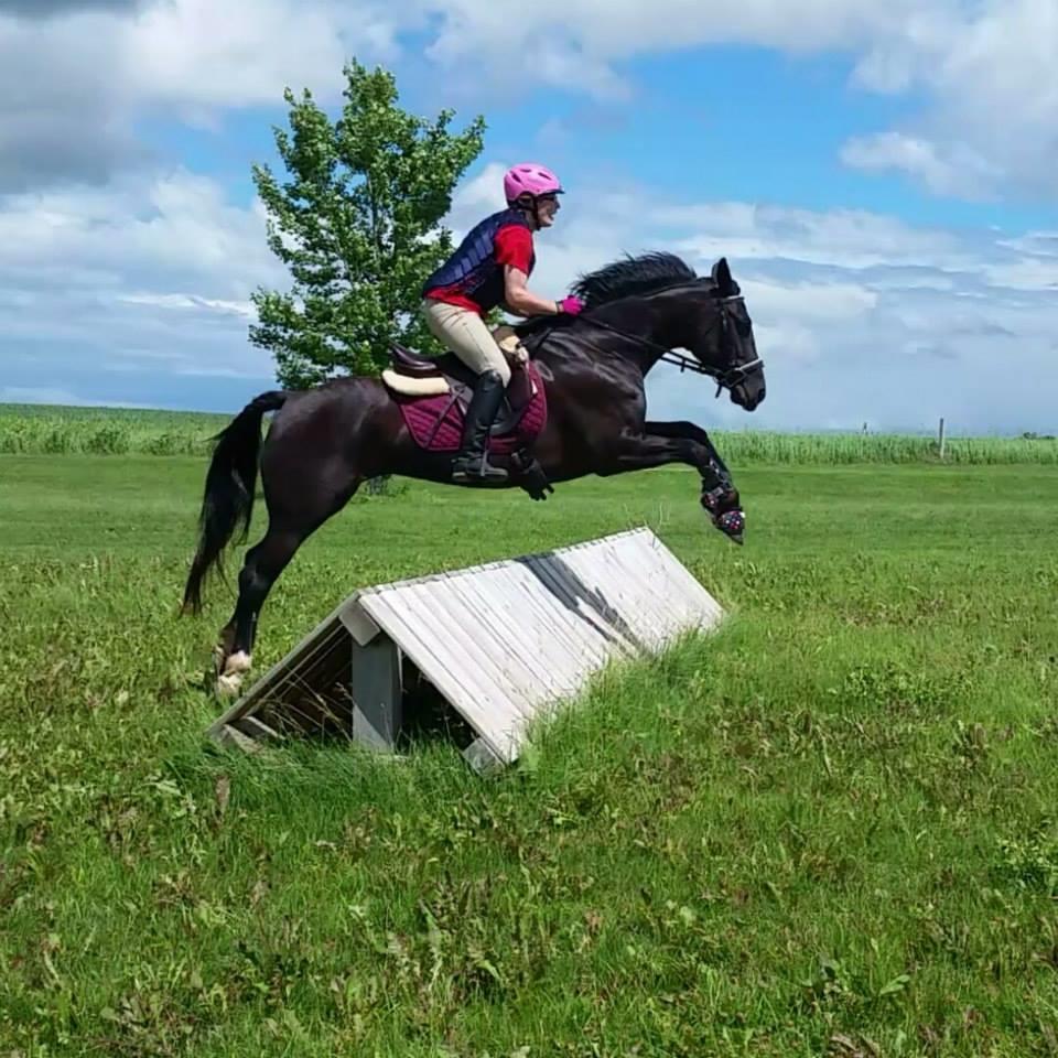 Equine Eccentric