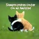 Mario Eduardo (@05939a4fe237467) Twitter