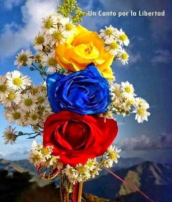 cro_mari's profile picture. Humildad: el valor más hermoso del ser humano, pero también el más escaso.