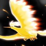 One of the legendary bird Pokémon. It is said that its appearance indicates the coming of spring. | RP | Him/He Pronouns |