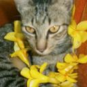 Chip Anderson - @chip122373 - Twitter