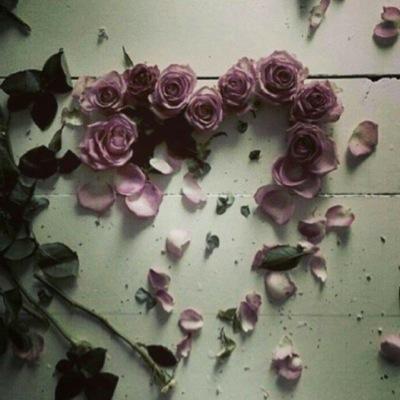 معلمة رياضيات 🌺 حساب شخصي🌺. يستهويني كل شئ يكسيه الهدوء أشخاص أماكن أصوات 🌺 القليل من الهدوء يضيف إلى النفس الكثير من الراحه 🌺الطائف مدينة الورد والغيم 🌺