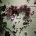 صباح الحارثي (@sabo2050) Twitter profile photo صباح الحارثي (@sabo2050) Twitter profile photo