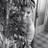 _parlorb_'s profile image