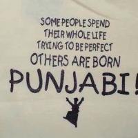 Panjabi Doctors Ass. (@pddane) 's Twitter Profile