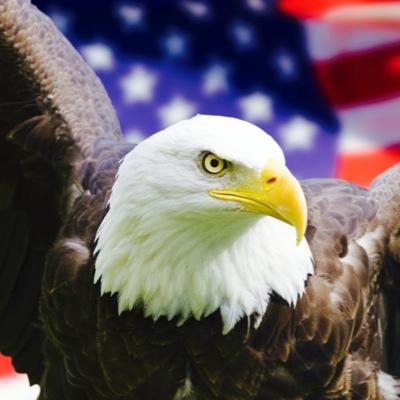 Conservative, Republican, Supporter of Police & Military