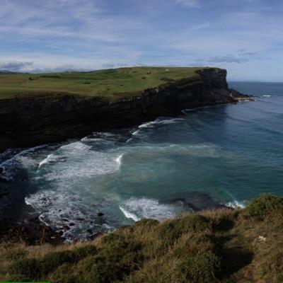 dav_pascual's profile picture. 