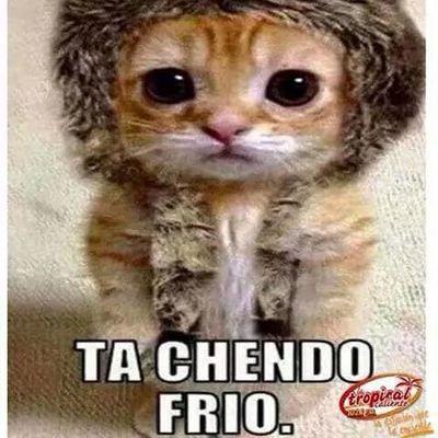 nylevemoda's profile picture. 